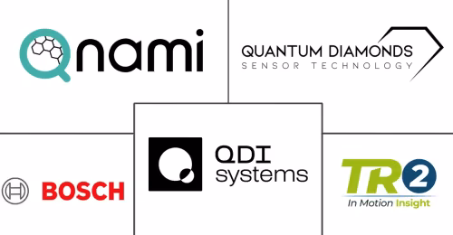 Quantum Imaging For Industrial Inspection Market Major Players