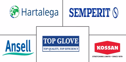 Rubber Gloves Market Major Players