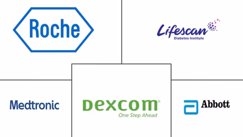 Russia Blood Glucose Monitoring Market Major Players