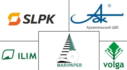 Russia Containerboard Market Major Players