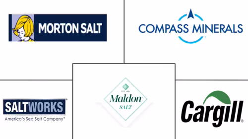 Sea Salt Market Major Players