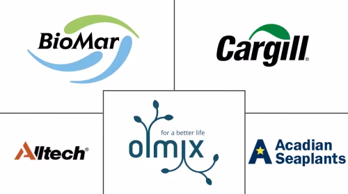 Seaweed-Based Feed Market Major Players
