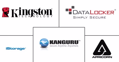 Secure Flash Drive Market Major Players