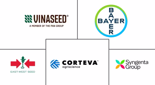 Vietnam Seed Market Major Players