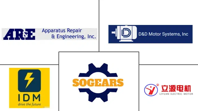 Separately Excited Motor Market Major Players