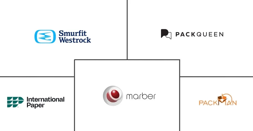 Major players in Shoe Packaging industry