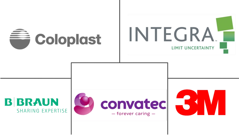 Major players in Silver Wound Dressing industry