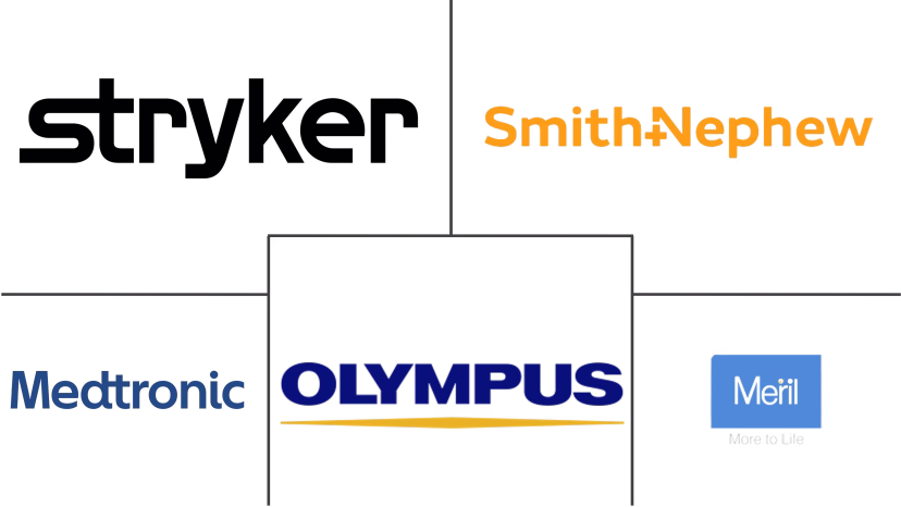 Major players in Sinus Dilation Devices industry