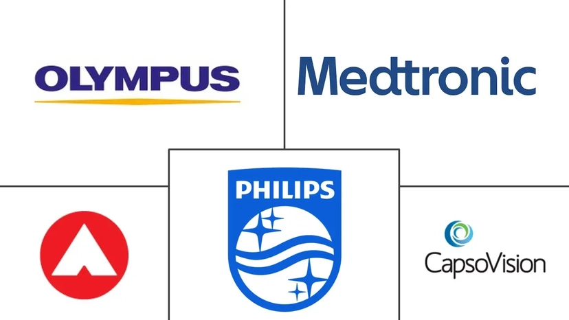 Major players in Smart Pills Drug Delivery industry