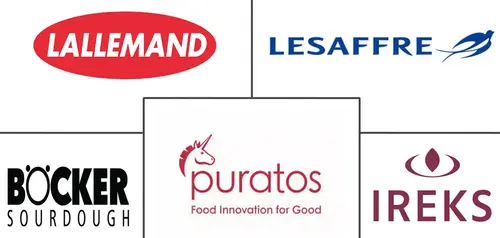 Sourdough Market Major Players