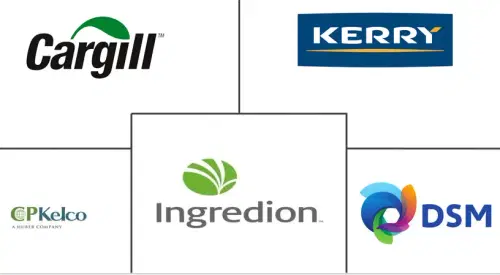 South Africa Food Hydrocolloids Market Major Players