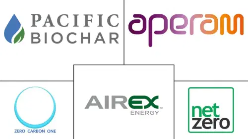 South America Biochar Market Major Players