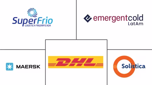 South America Cold Chain Logistics Market Major Players