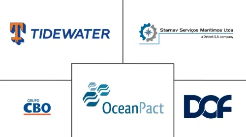 Mercado de Embarcaciones de Apoyo Offshore de América del Sur Major Players
