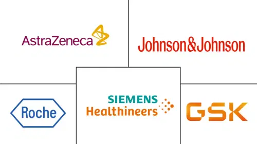 South America Ovarian Cancer Diagnostics And Therapeutics Market Major Players