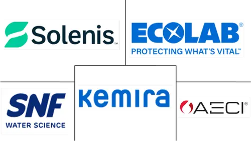 Southern African Development Community (SADC) Water Treatment Chemicals Market Major Players