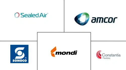 Spices, Dry Mixes And Extracts Packaging Market Major Players