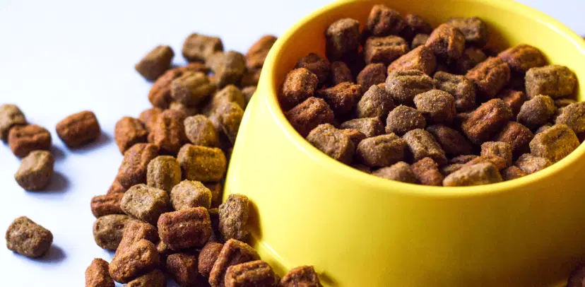 Pet Food Reports Hub by Mordor Intelligence