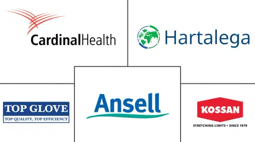 Surgical Gloves Market Major Players