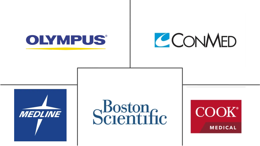 Major players in Surgical Snare industry