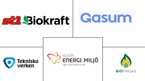 Mercado de Gestión de Residuos como Materia Prima para Gas Renovable en Suecia Major Players