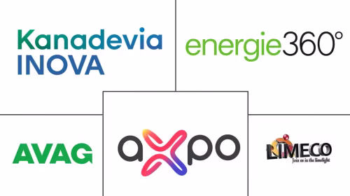 Mercado de Gestión de Residuos como Materia Prima para Gas Renovable en Suiza Major Players