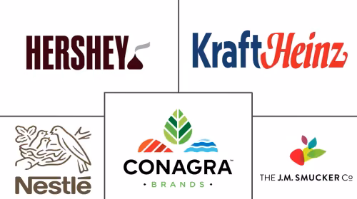 Syrup Market Major Players