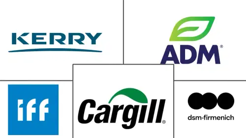 Taste Modulators Market Major Players