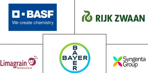 Tomato Seed Market Major Players