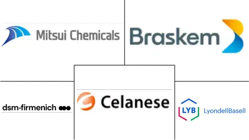 Ultra-high Molecular Weight Polyethylene Market Major Players