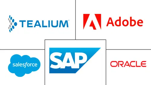 United Arab Emirates Customer Data Platform Market Major Players