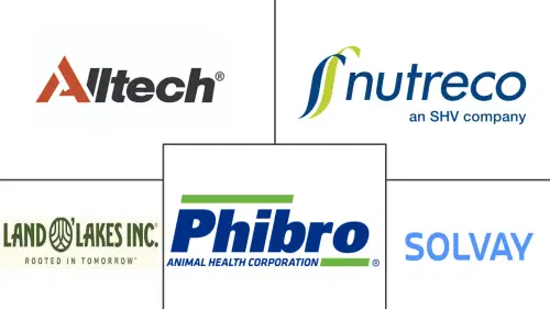 United States Feed Minerals Market Major Players