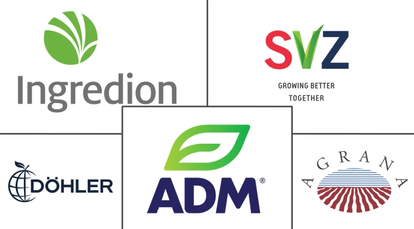 Major players in Vegetable Concentrates industry