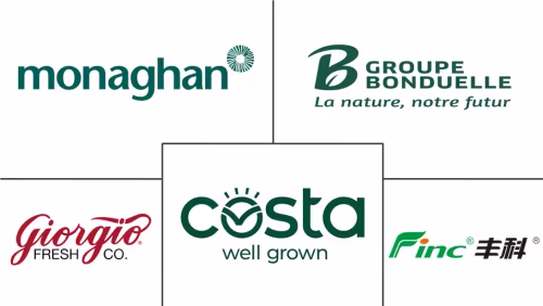 White Mushroom Market Major Players