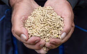 FEED ADDITIVE FEED ADDITIVE