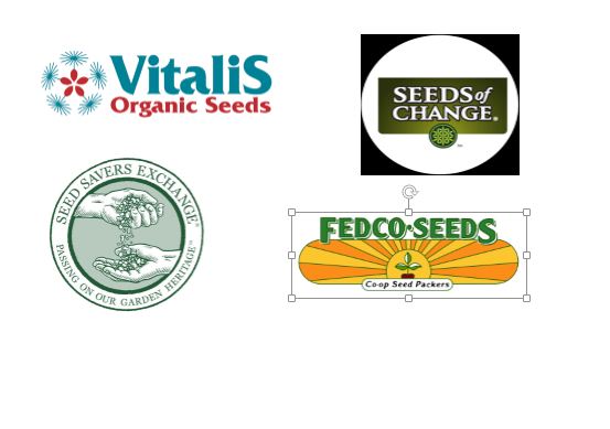 Organic Seed Market Major Players	