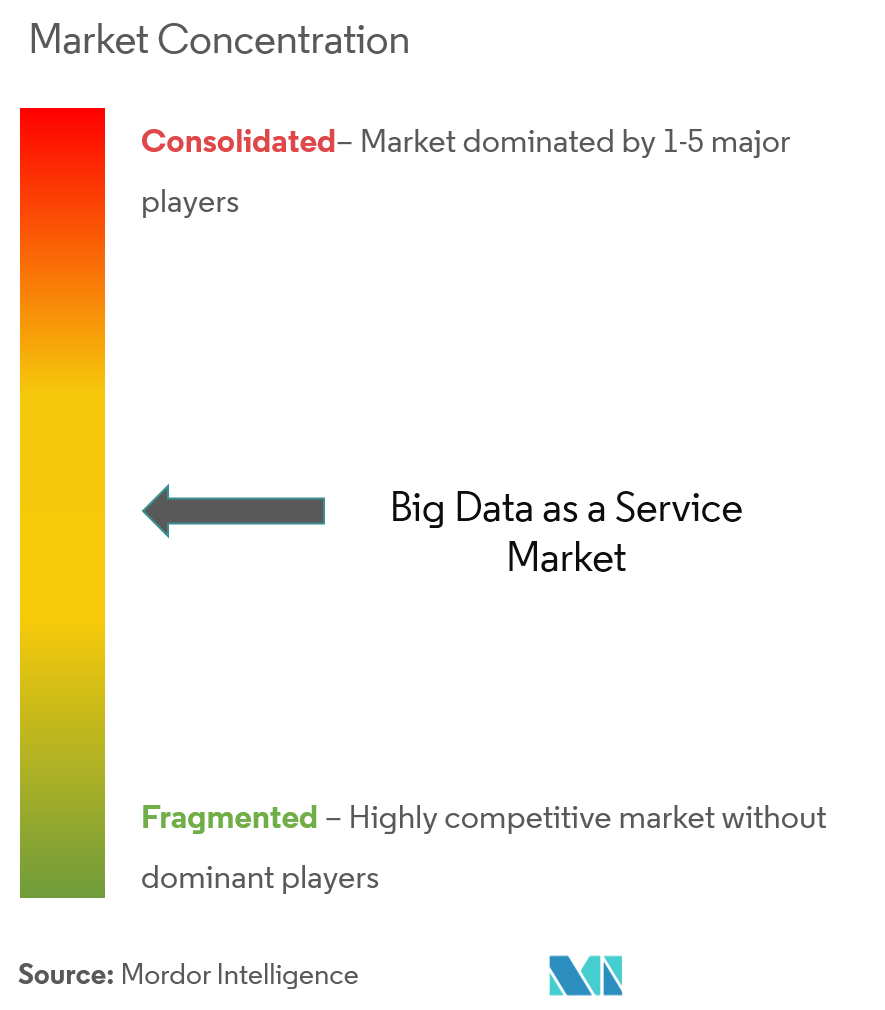 Big Data as a Service Market Concentration