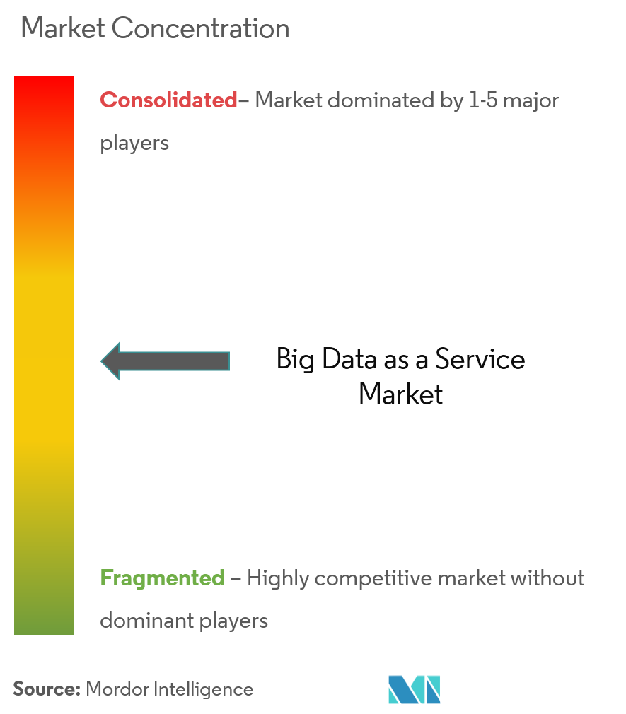 Big Data as a Service-Marktkonzentration