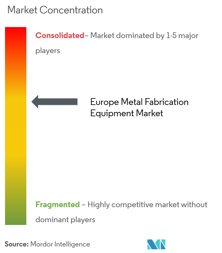 Europe Metal Fabrication Equipment Market Concentration