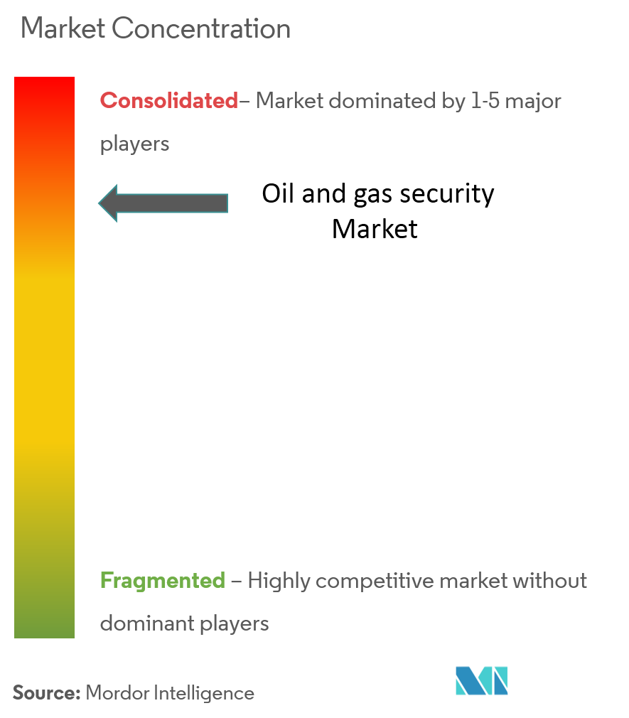 Oil and Gas Security Market Concentration