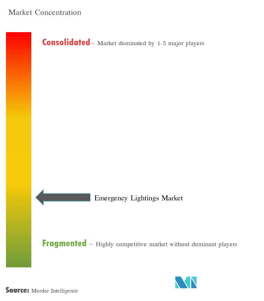 Emergency Lighting Market Concentration