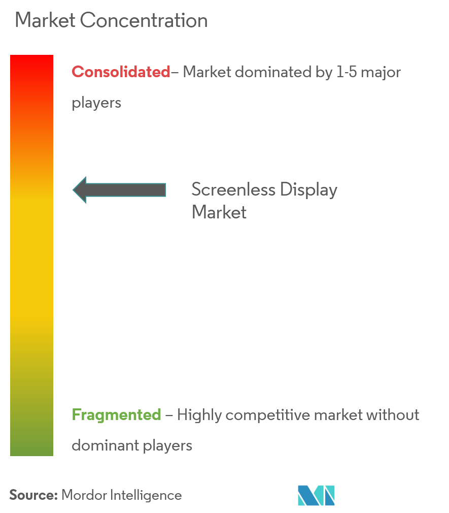 Screenless Display Market Concentration