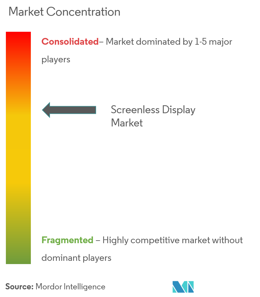 Screenless Display Market Concentration