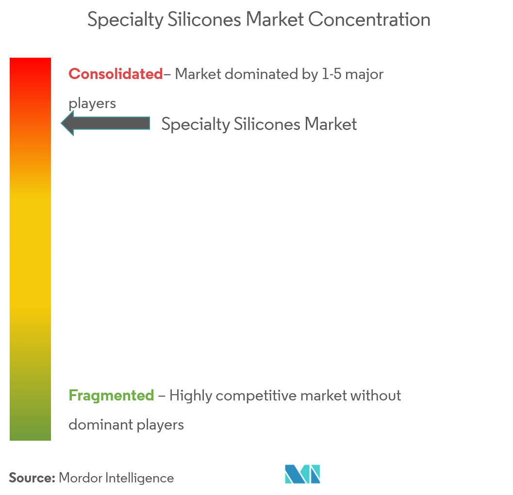 Dow, Momentive, Wacker Chemie AG, Công ty TNHH Hóa chất Shin-Etsu, Elkem ASA.