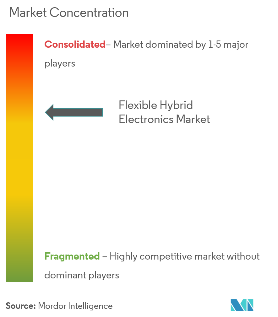 Flexible Hybrid Electronics Market Concentration
