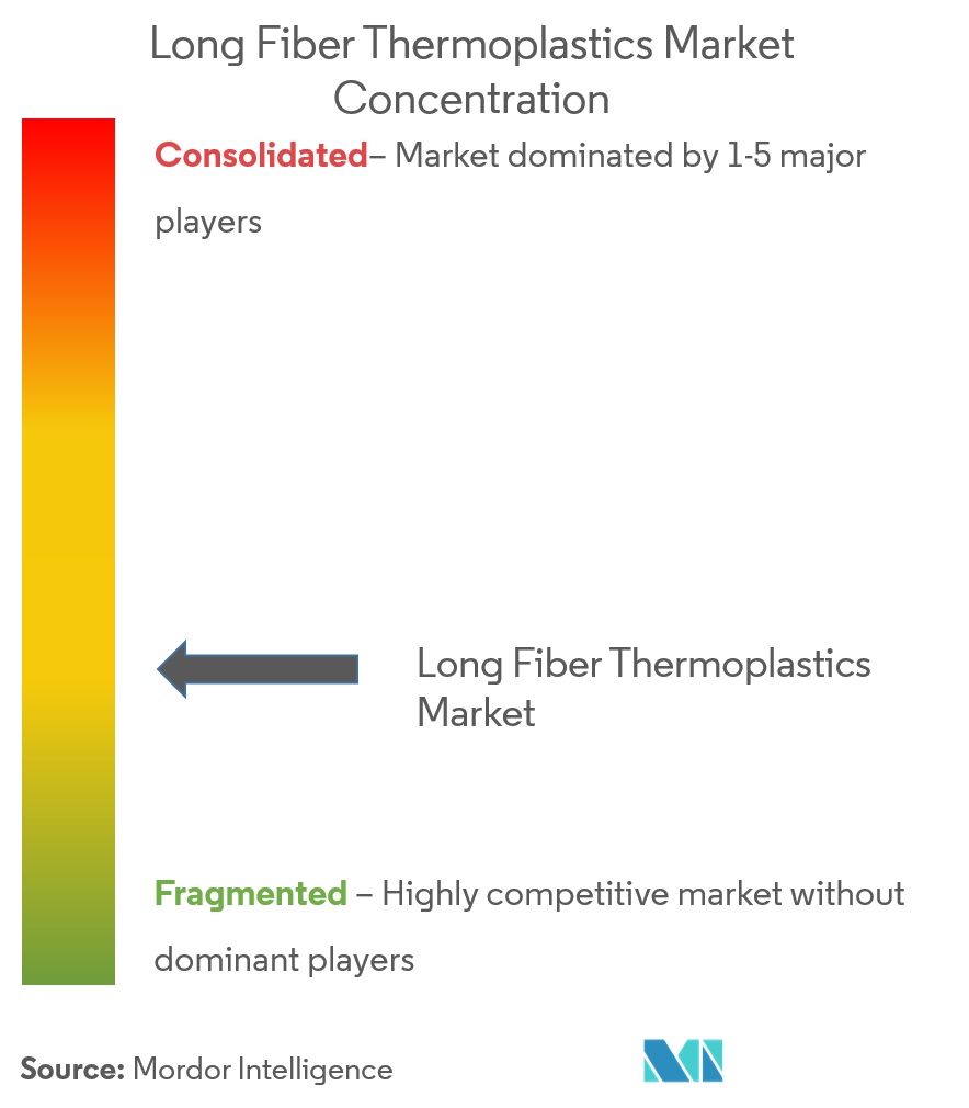 Long-fiber Thermoplastics Market Concentration