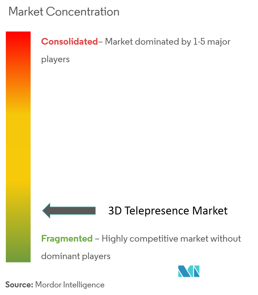 3D Telepresence Market Concentration