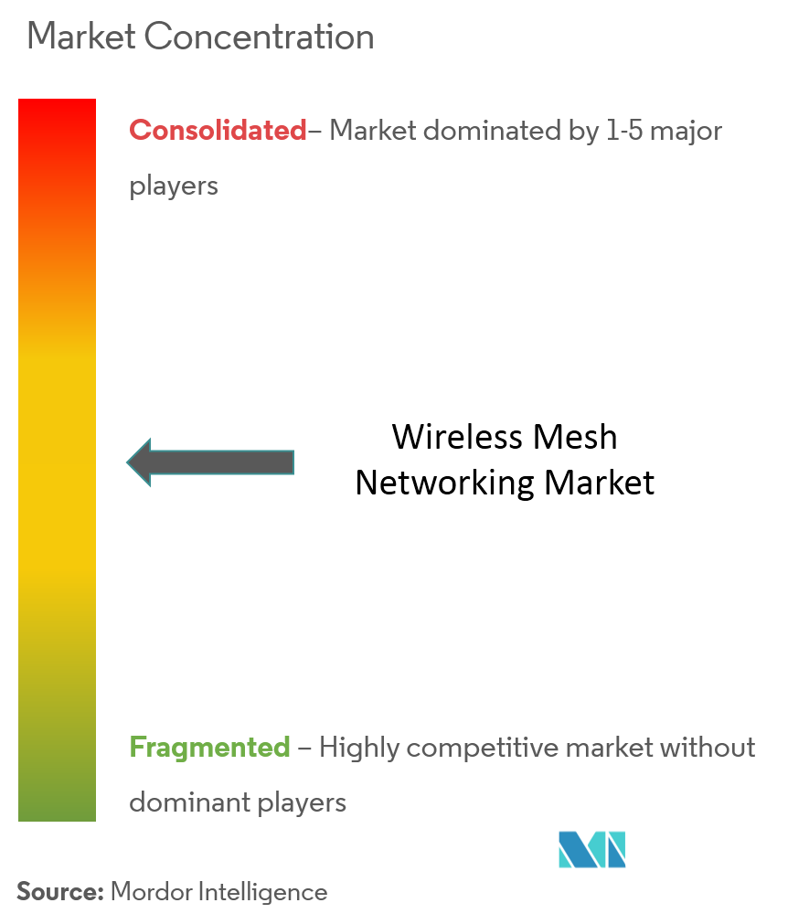 Wireless Mesh Networking Market Concentration