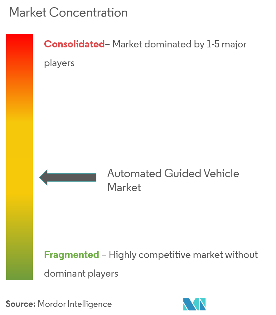 Automated Guided Vehicles (AGVs) Market Concentration