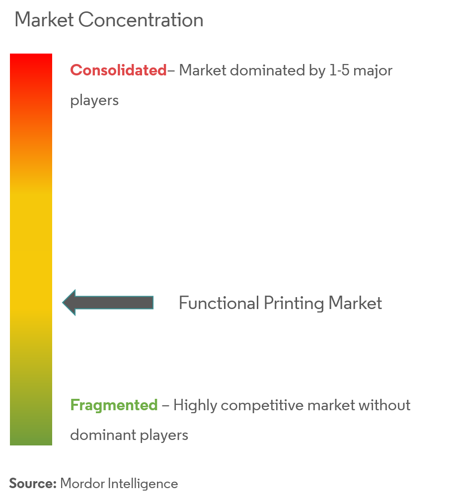 Functional Printing Market Concentration